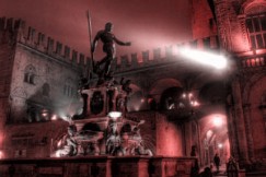 TRANS BOLOGNA